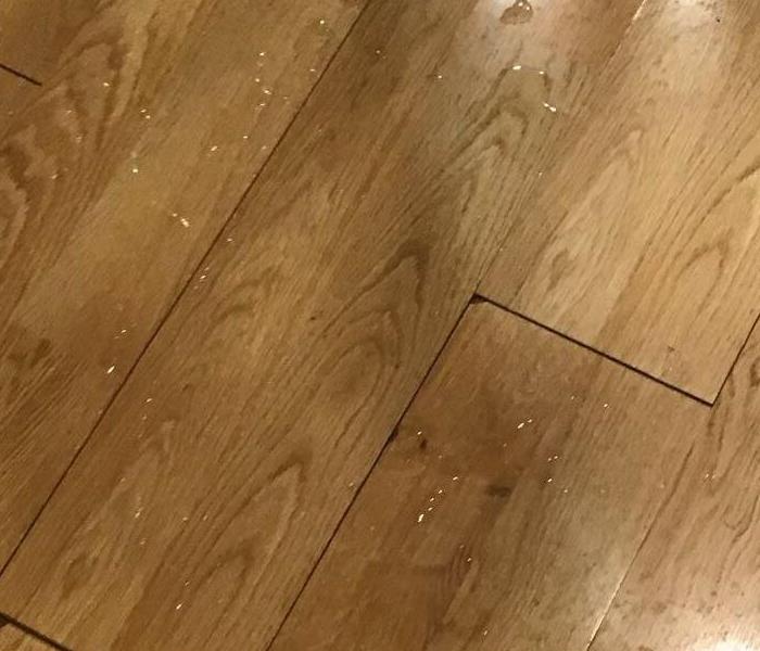 Water affected wood paneling floor.