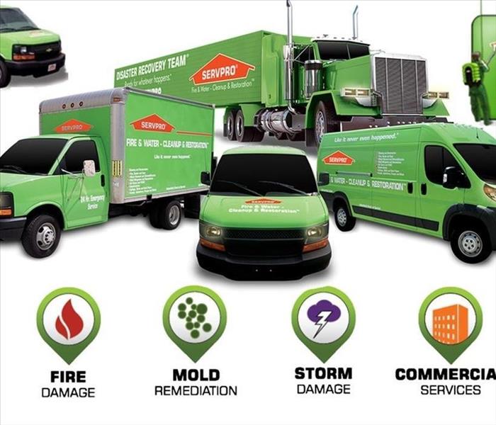 Variety of green SERVPRO vehicles with services listed below