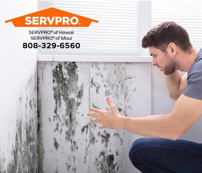 A person looks at mold growing on walls. 